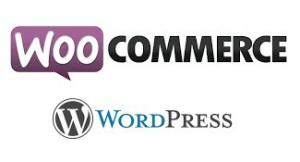 Logo Woo Commerce