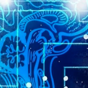 IA GENERATIVA BIOMASA